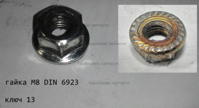 Гайка М8 с фланцем Т+ТР-E51: T52.T43.T33.T26.+Р